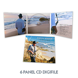 6 panel digifile
